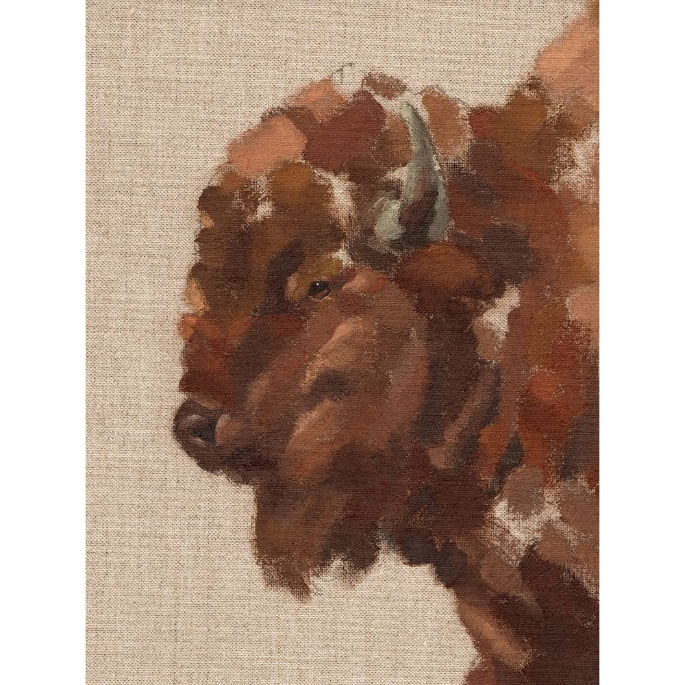 Tiled Bison II Poster Print - Jacob Green-VARPDX175596Z Image 1