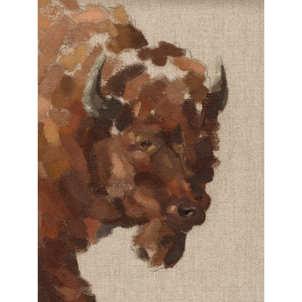 Tiled Bison I Poster Print - Jacob Green-VARPDX175595Z Image 1