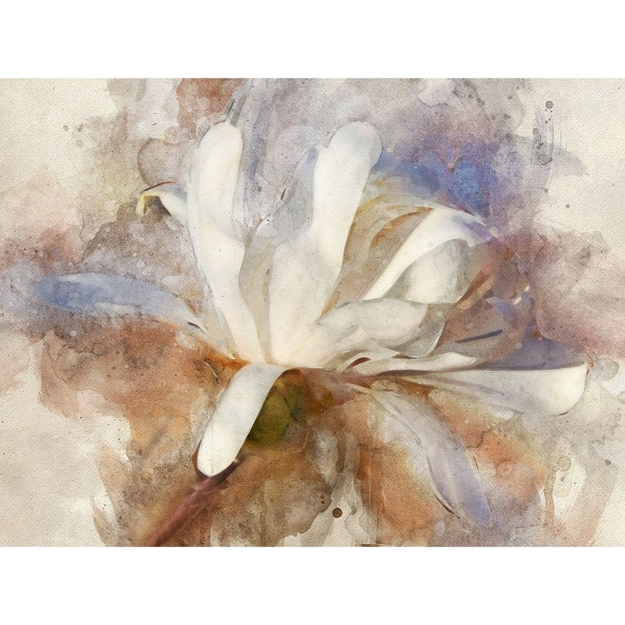 Playful Petals III Poster Print - Leda Robertson-VARPDX175712Z Image 1