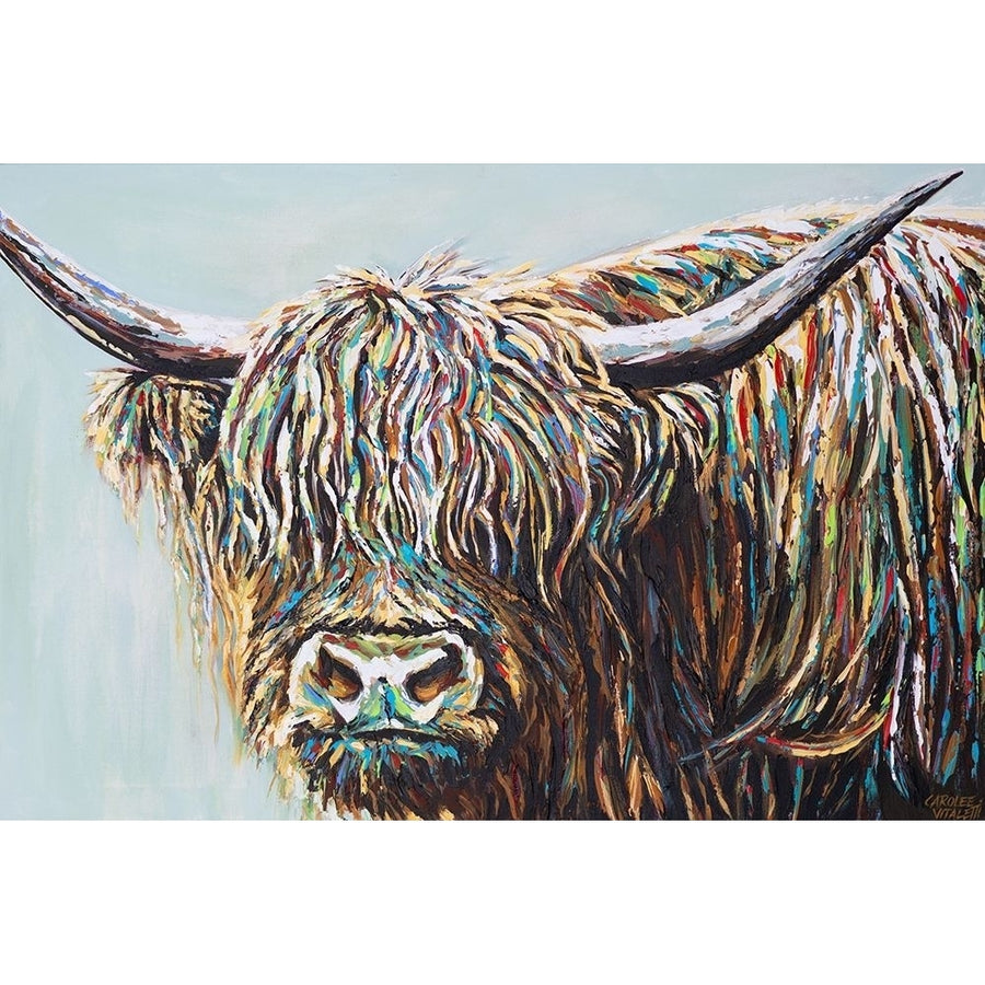 Woolly Highland I Poster Print - Carolee Vitaletti-VARPDX175720Z Image 1