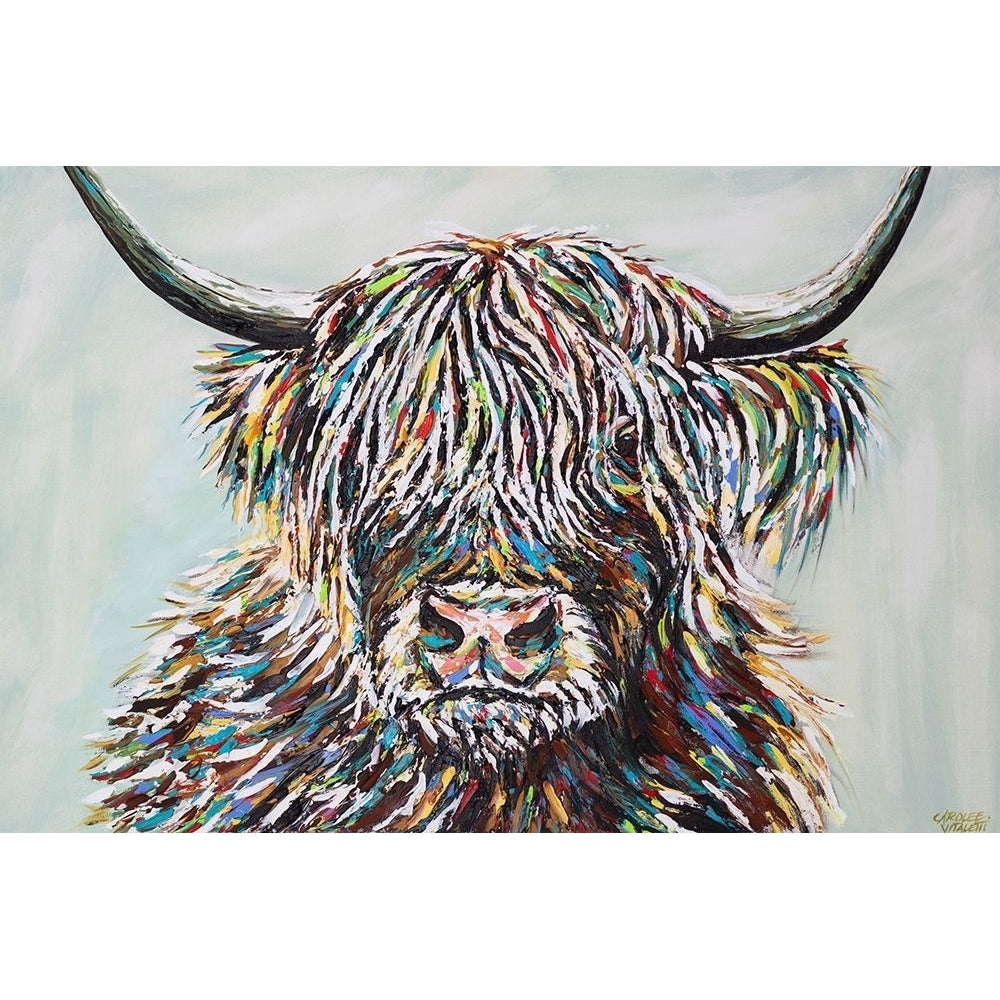 Woolly Highland II Poster Print - Carolee Vitaletti-VARPDX175721Z Image 1