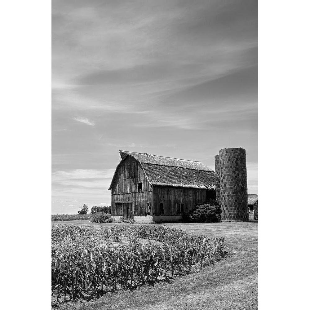 Farm Serenity II Poster Print - Leda Robertson-VARPDX175719Z Image 1