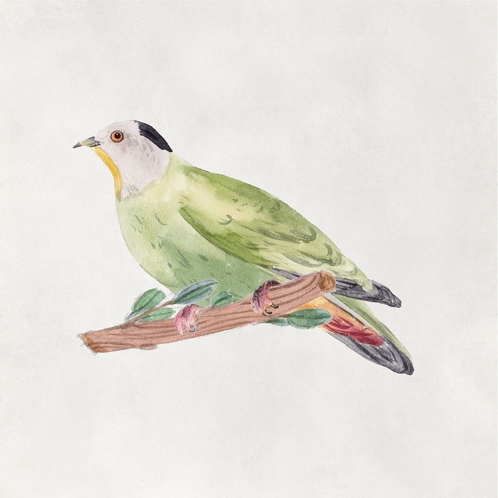 Bird Sketch III Poster Print - Melissa Wang-VARPDX175946D Image 1