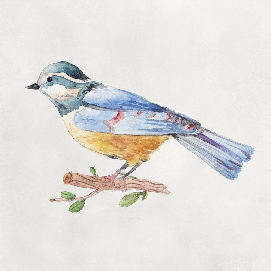 Bird Sketch V Poster Print - Melissa Wang-VARPDX175948D Image 1