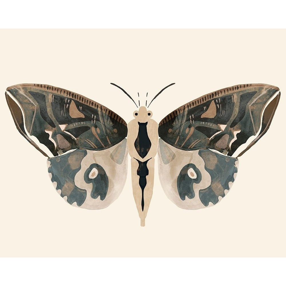 Neutral Moth II Poster Print - Victoria Barnes-VARPDX175957Z Image 1