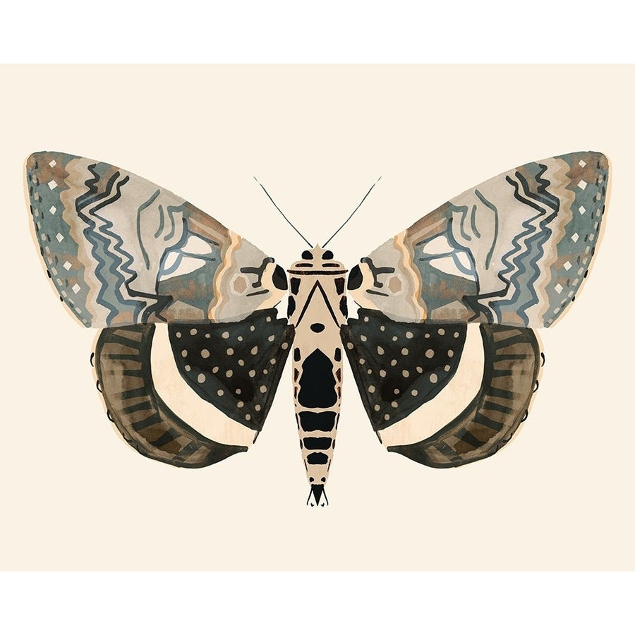 Neutral Moth I Poster Print - Victoria Barnes-VARPDX175956Z Image 1