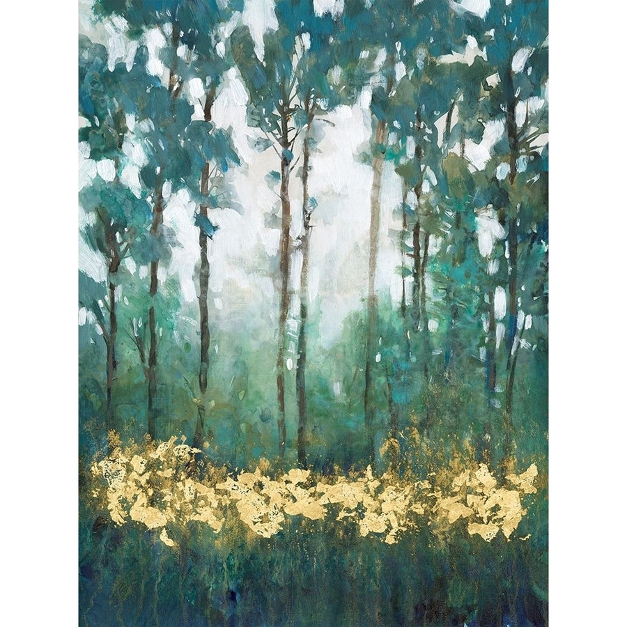 Glow in the Forest I Poster Print - Tim OToole-VARPDX176184FNE Image 1