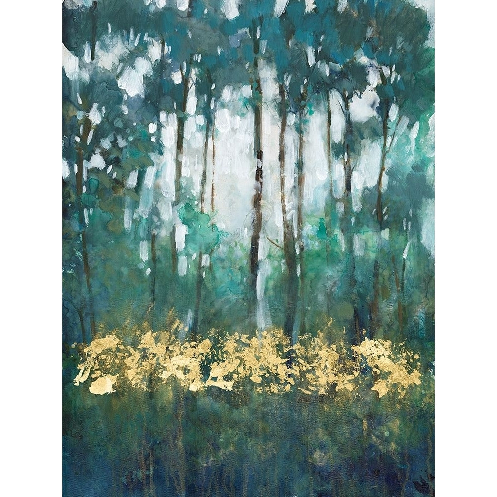 Glow in the Forest II Poster Print - Tim OToole-VARPDX176185FNE Image 1