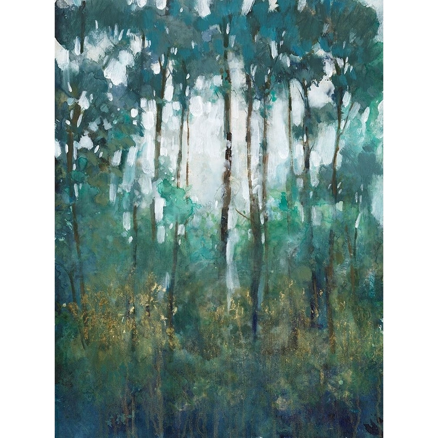 Glow in the Forest II Poster Print - Tim OToole-VARPDX176185Z Image 1