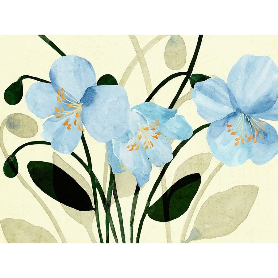 Blue Poppies II Poster Print - Annie Warren-VARPDX176281Z Image 1