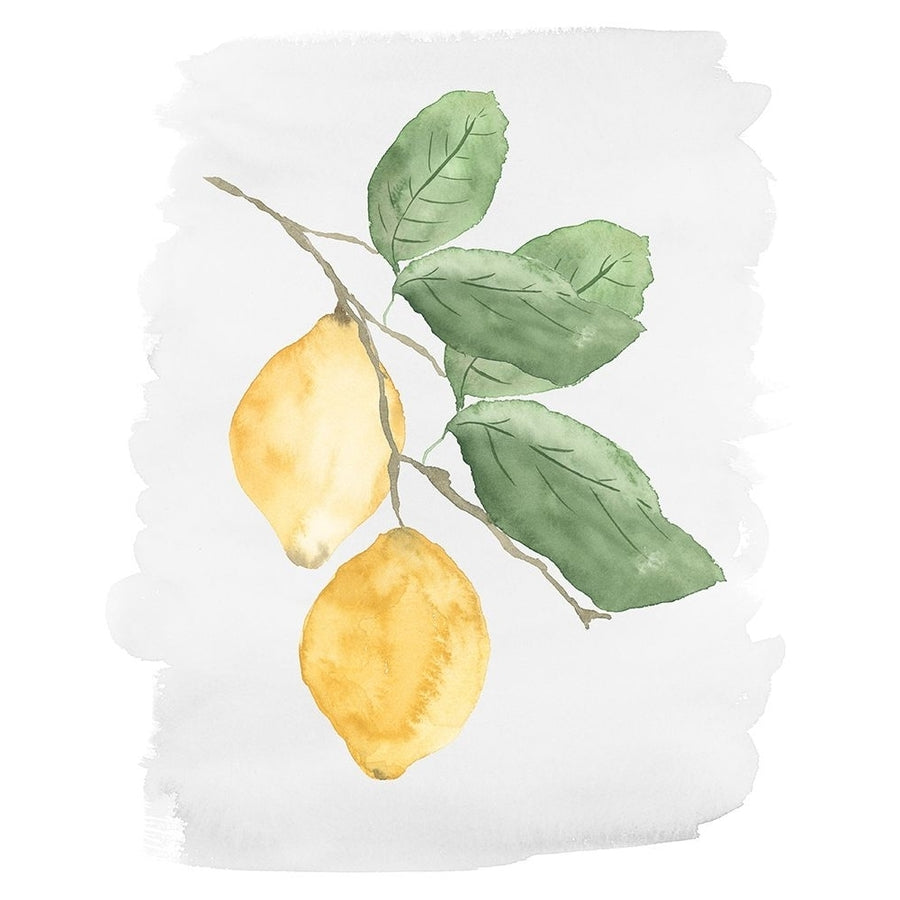 Fresh Lemons Poster Print - Lucille Price-VARPDX17648C Image 1