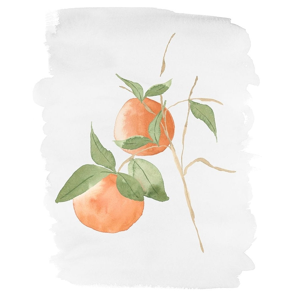 Fresh Oranges Poster Print - Lucille Price-VARPDX17648D Image 1