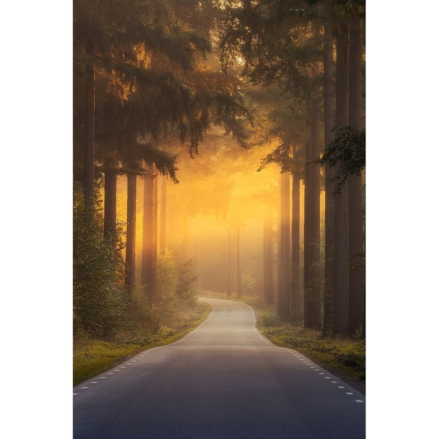 Pursuing The Light At The End Of The Road Poster Print - NingYun Ye-VARPDX1768098 Image 1