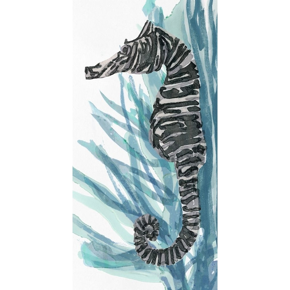 Zebra Seahorse II Poster Print - Design Studio Stellar-VARPDX176981Z Image 1