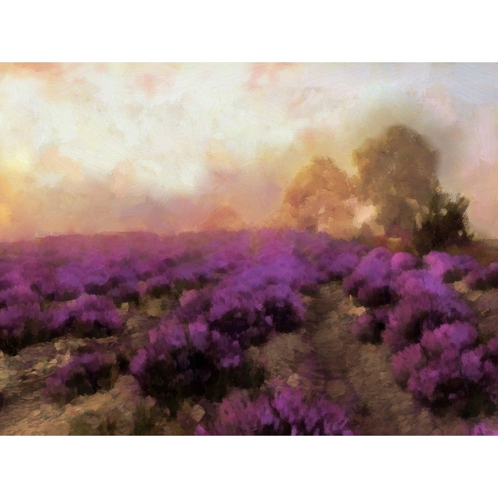 Purple Countryside I Poster Print - Alonzo Saunders-VARPDX177924Z Image 1