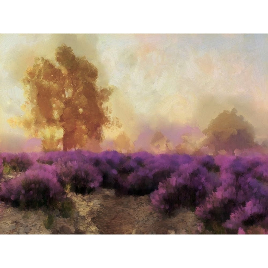 Purple Countryside II Poster Print - Alonzo Saunders-VARPDX177925Z Image 1