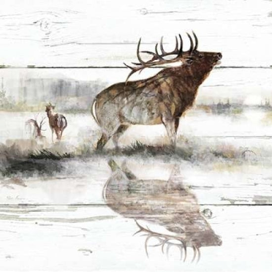 Rustic Misty Elk Poster Print by Ruane Manning-VARPDX17800 Image 1