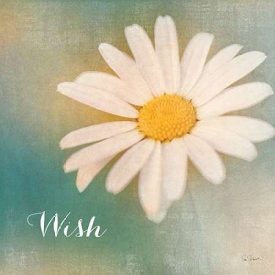 Daisy Wishes Poster Print by Sue Schlabach-VARPDX17806 Image 1