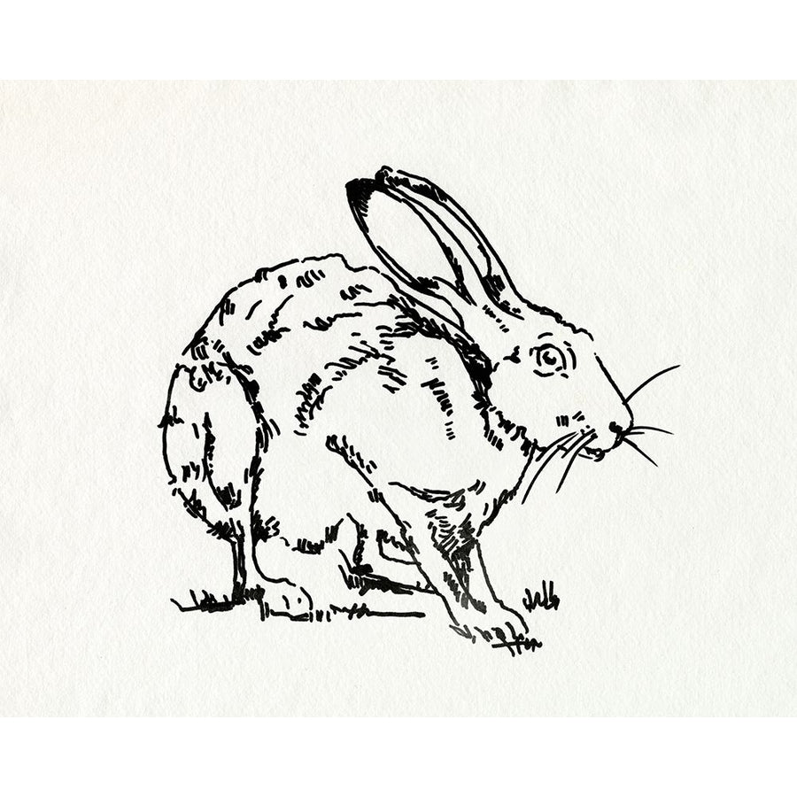 Resting Hare II Poster Print - Emma Caroline-VARPDX178432Z Image 1