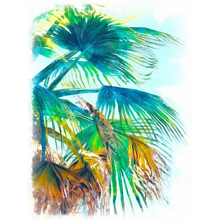 Tropical Glow I Poster Print - Alonzo Saunders-VARPDX178467Z Image 1