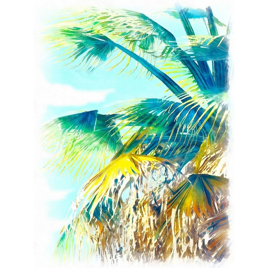 Tropical Glow II Poster Print - Alonzo Saunders-VARPDX178468Z Image 1