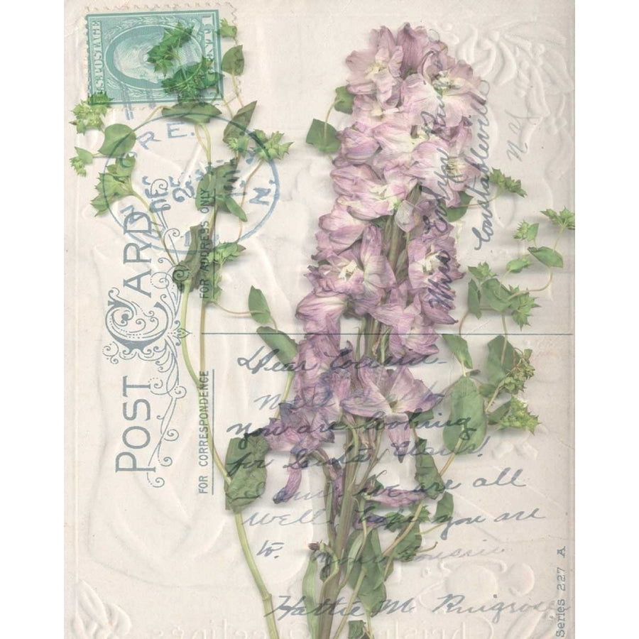 Postcard Wildflowers I Poster Print - Jennifer Goldberger-VARPDX17863Z Image 1