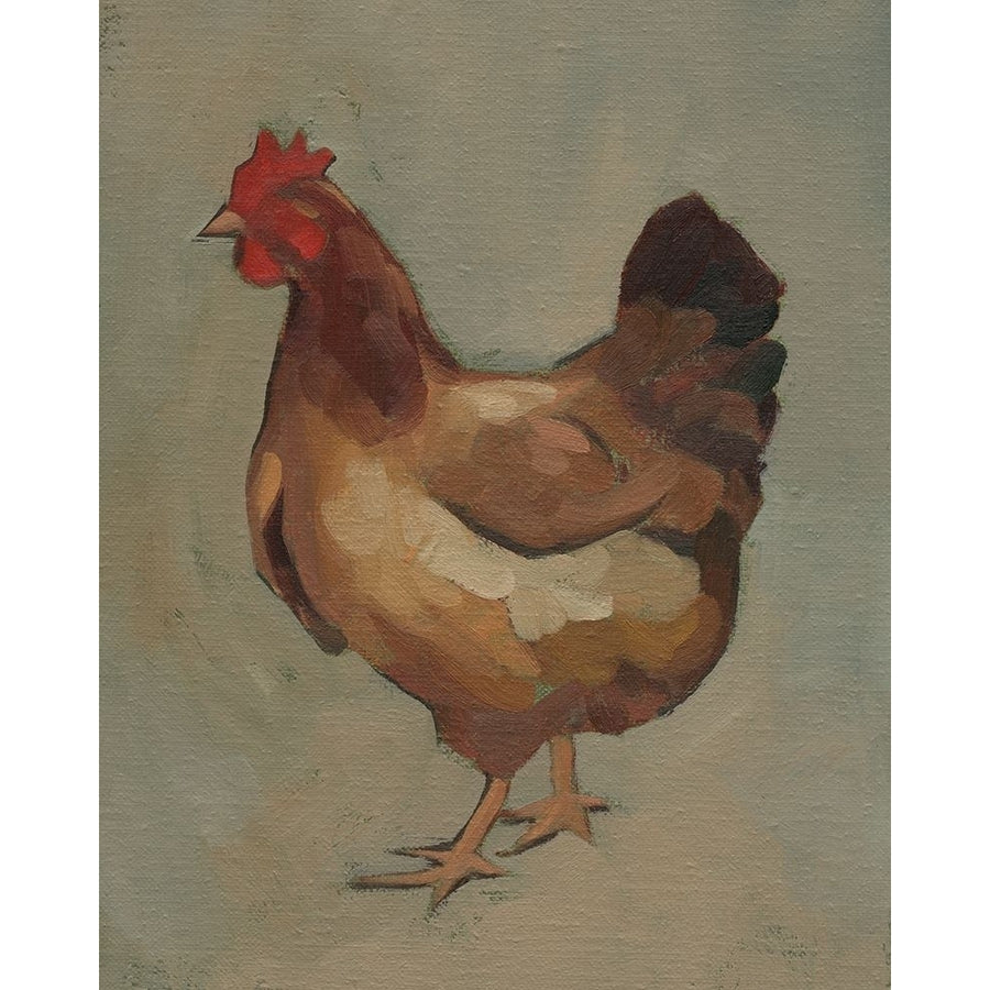 Egg Hen II Poster Print - Jacob Green-VARPDX178745Z Image 1