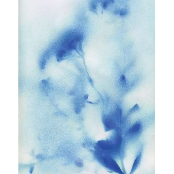 Misty Meadow Flowers Poster Print by Katrina Craven-VARPDX17901 Image 2