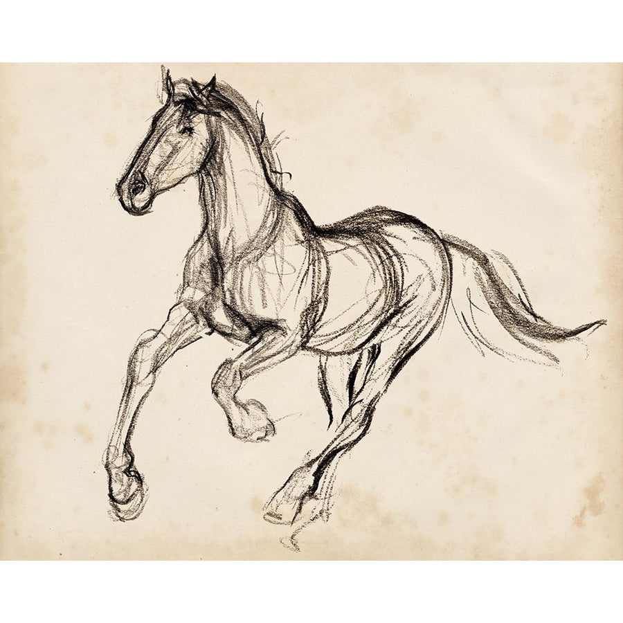 Gestural Apaloosa I Poster Print - Jennifer Paxton Parker-VARPDX178993FN Image 1