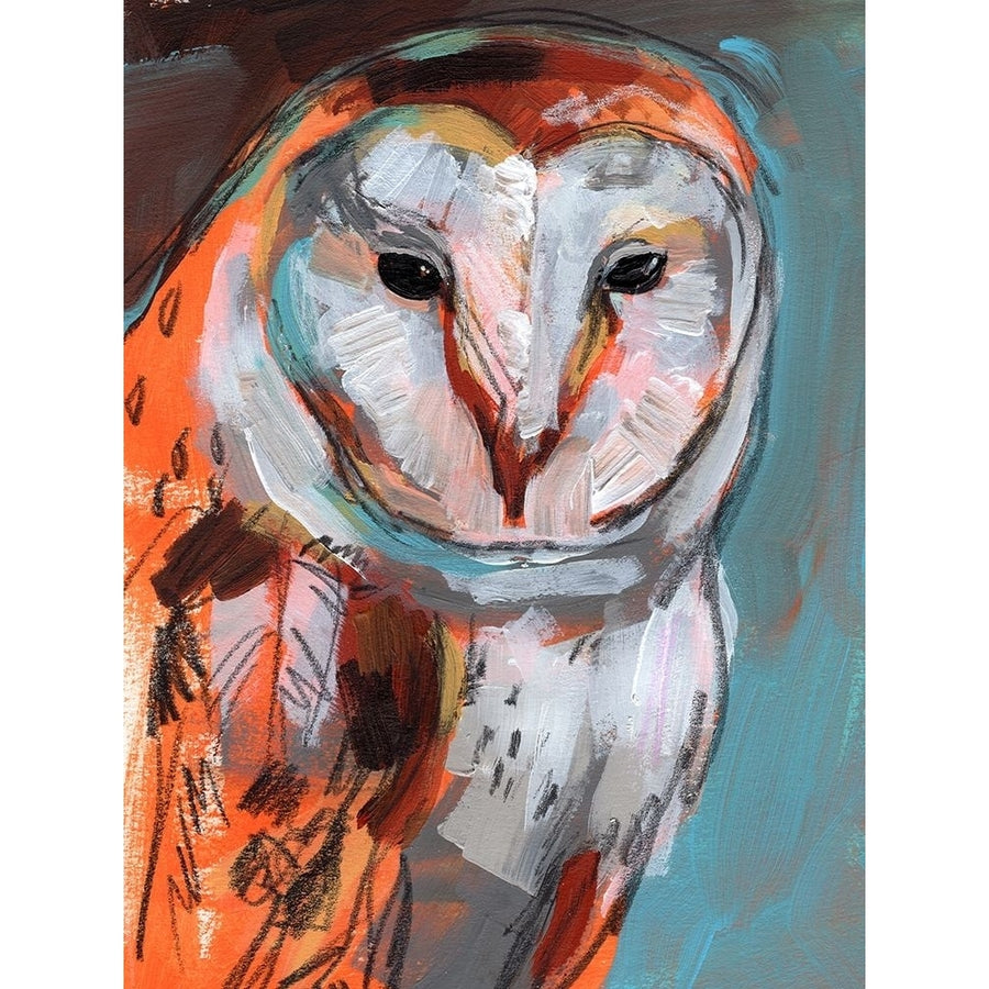 Optic Owl I Poster Print - Jennifer Paxton Parker-VARPDX179082Z Image 1