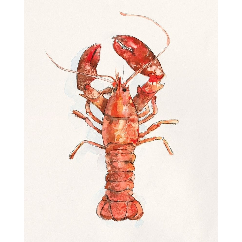 Salty Lobster II Poster Print - Emma Caroline-VARPDX179081Z Image 1