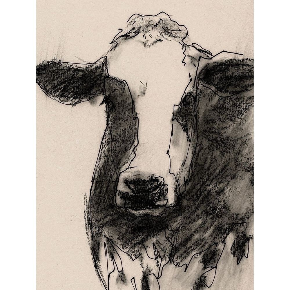 Cow Portrait Sketch II Poster Print - Victoria Barnes-VARPDX179128Z Image 1