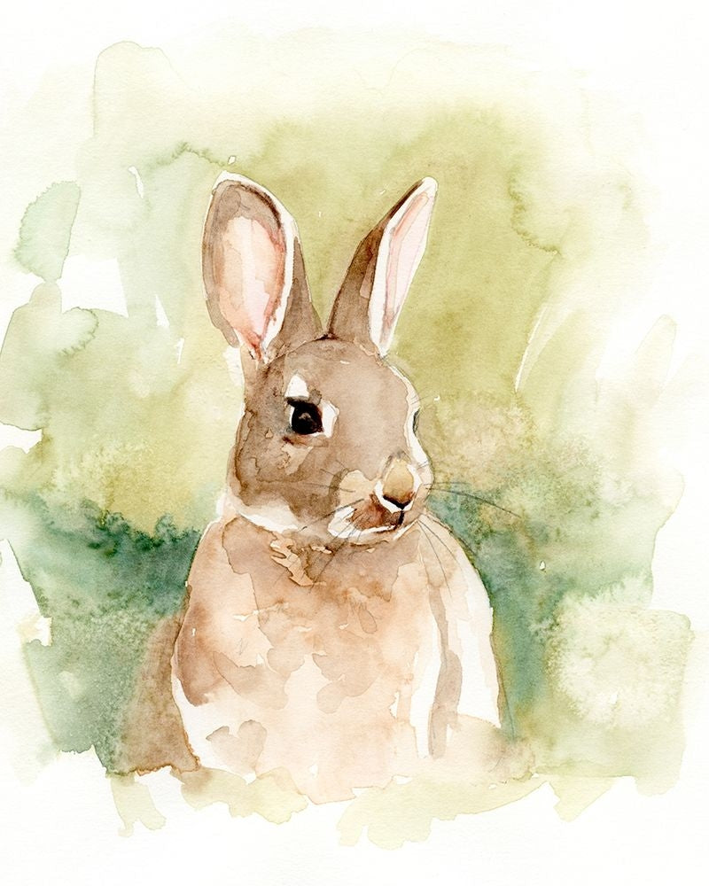 Field Bunny I Poster Print - Victoria Barnes-VARPDX179388Z Image 1