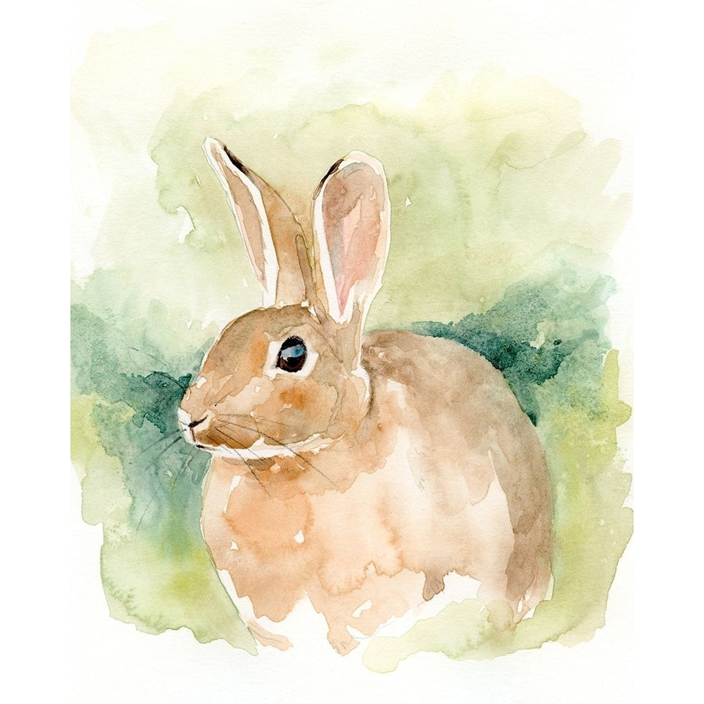 Field Bunny II Poster Print - Victoria Barnes-VARPDX179389Z Image 1