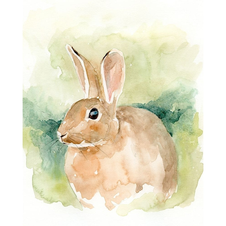 Field Bunny II Poster Print - Victoria Barnes-VARPDX179389Z Image 1