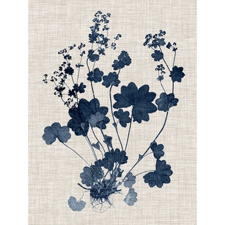 Navy and Linen Leaves II Poster Print - Studio Vision-VARPDX179536Z Image 1