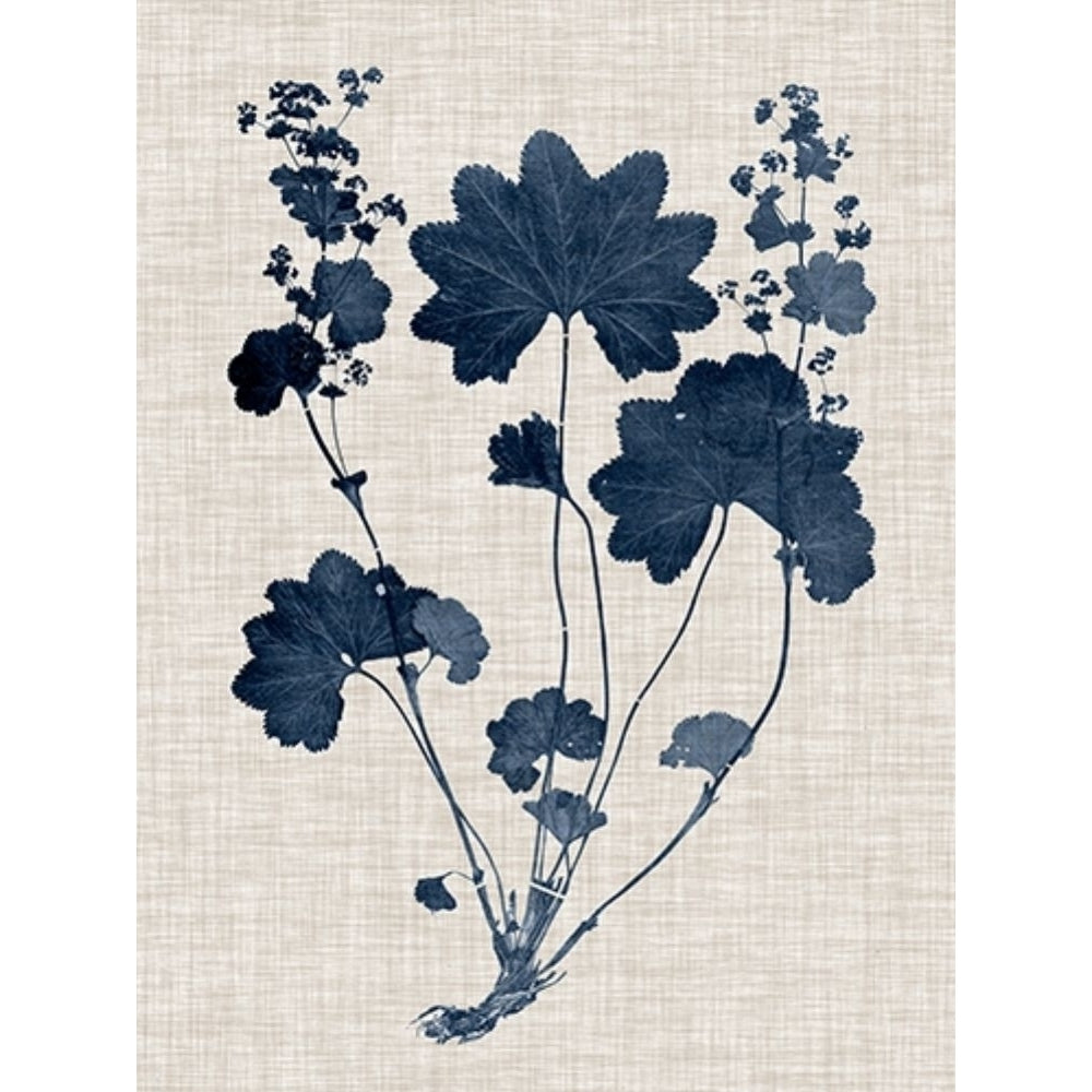 Navy and Linen Leaves III Poster Print - Studio Vision-VARPDX179537Z Image 1