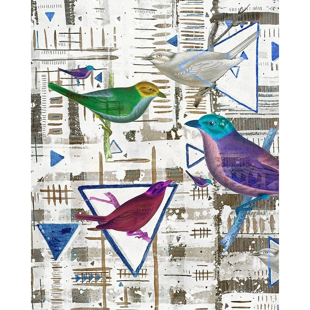 Bird Intersection III Poster Print - Lori Arbel-VARPDX180000Z Image 1