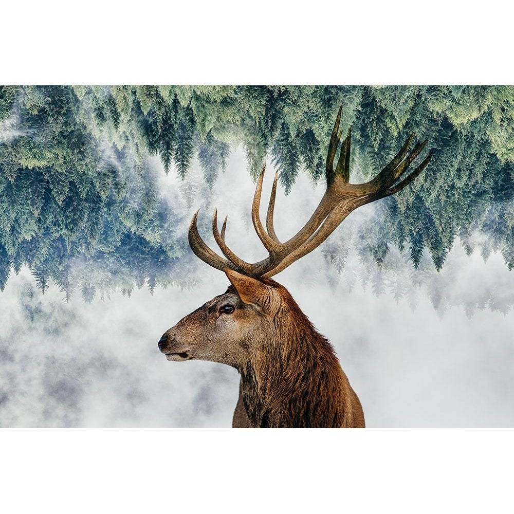 The Deer And The Woods Poster Print - Angyalosi Beata-VARPDX1802691 Image 1