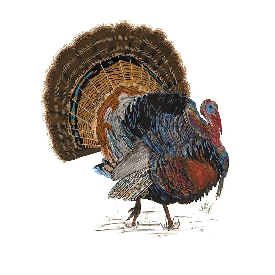 Turkey Study I Poster Print - Melissa Wang-VARPDX180457Z Image 1