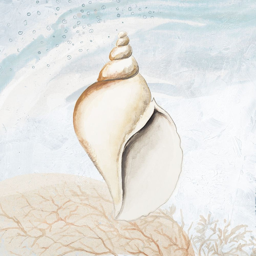 Ocean Oasis Tropical Seashell I Poster Print - Patricia Pinto-VARPDX18047B Image 1