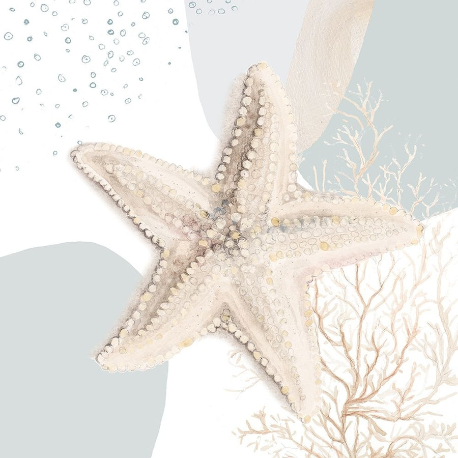 Ocean Oasis Bubbles Starfish Poster Print - Patricia Pinto-VARPDX18049B Image 1