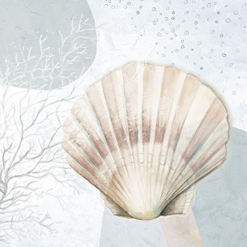 Ocean Oasis Bubbles Blush Scallop Poster Print - Patricia Pinto-VARPDX18050BA Image 1