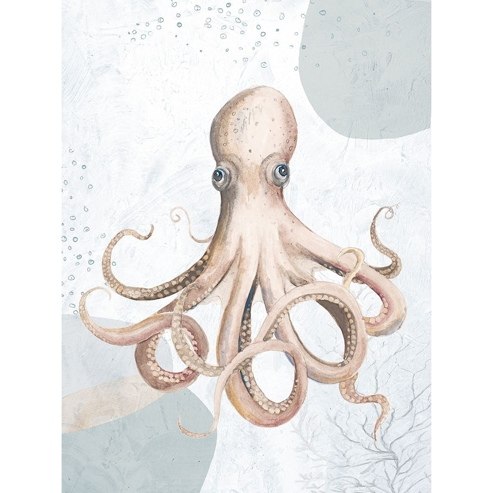 Ocean Oasis Octopus II Poster Print - Patricia Pinto-VARPDX18052B Image 1