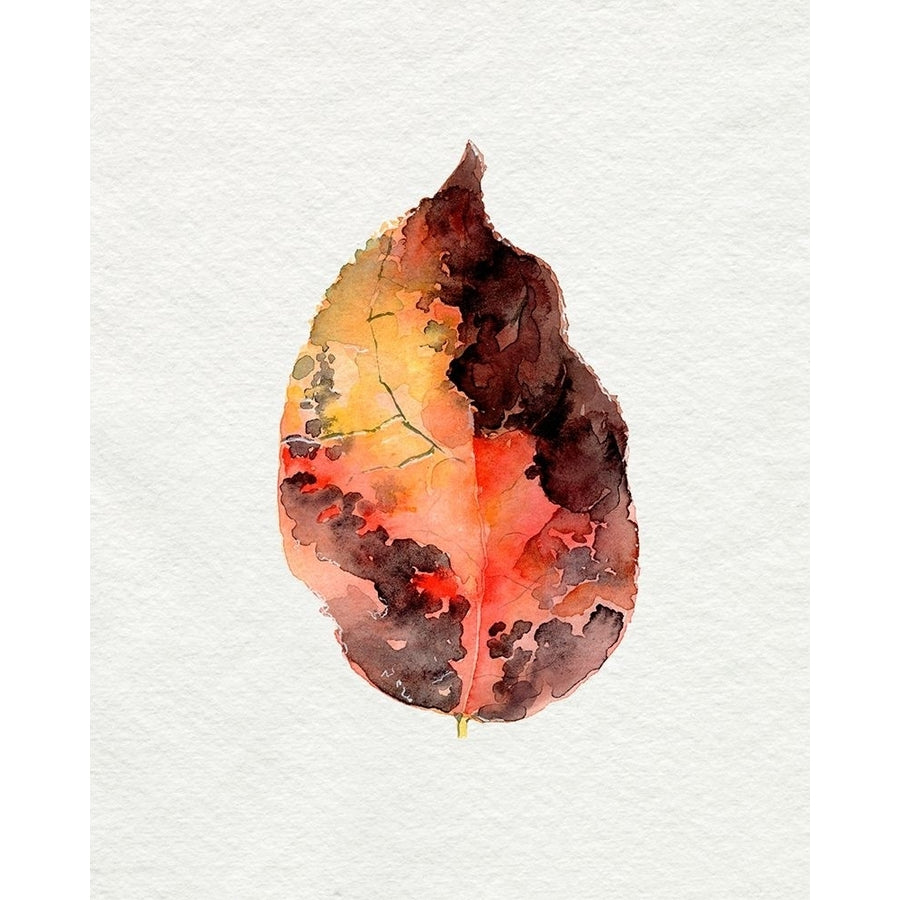 Watercolor Autumn Leaf I Poster Print - Jennifer Paxton Parker-VARPDX180686Z Image 1