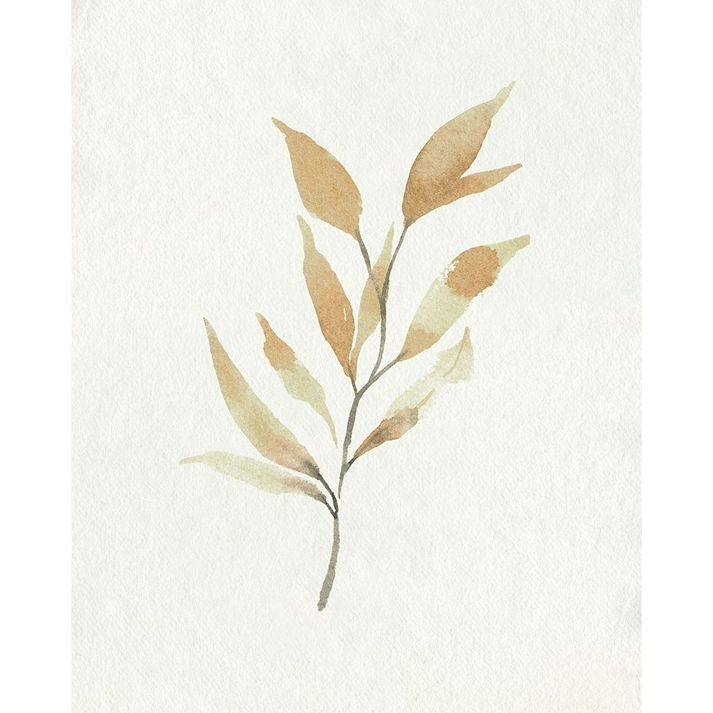 Soft Autumn Branch II Poster Print - Emma Caroline-VARPDX180701Z Image 1