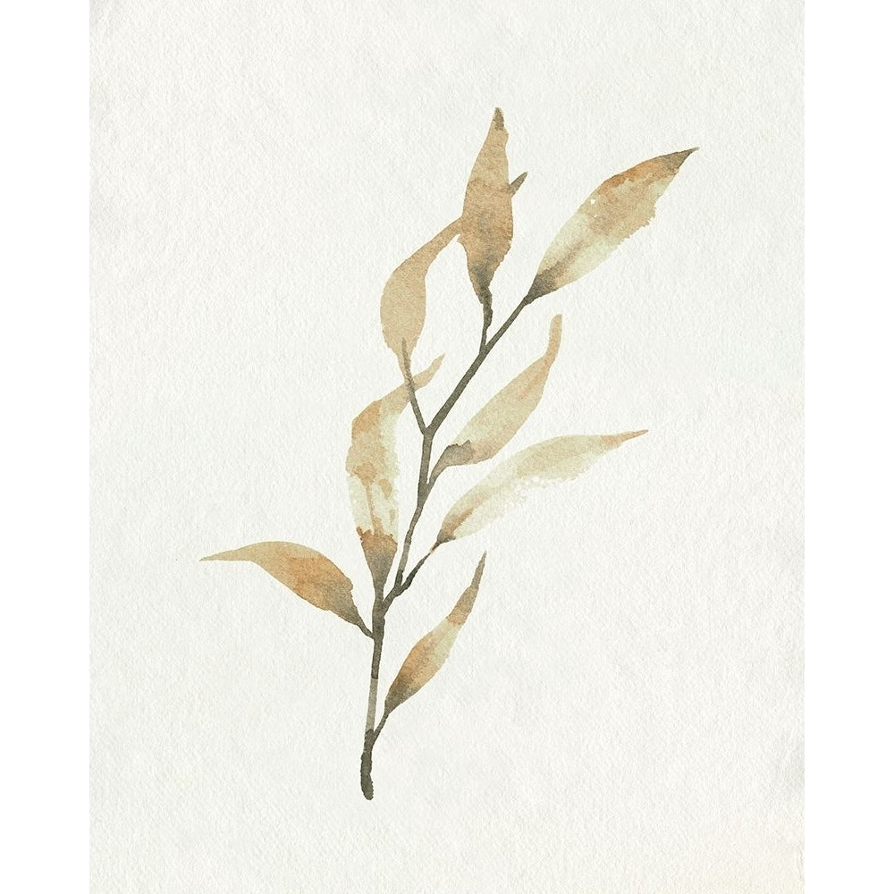 Soft Autumn Branch I Poster Print - Emma Caroline-VARPDX180700Z Image 1