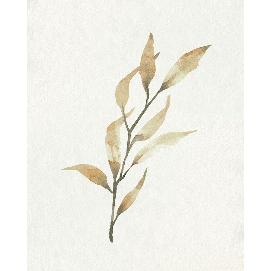 Soft Autumn Branch I Poster Print - Emma Caroline-VARPDX180700Z Image 1