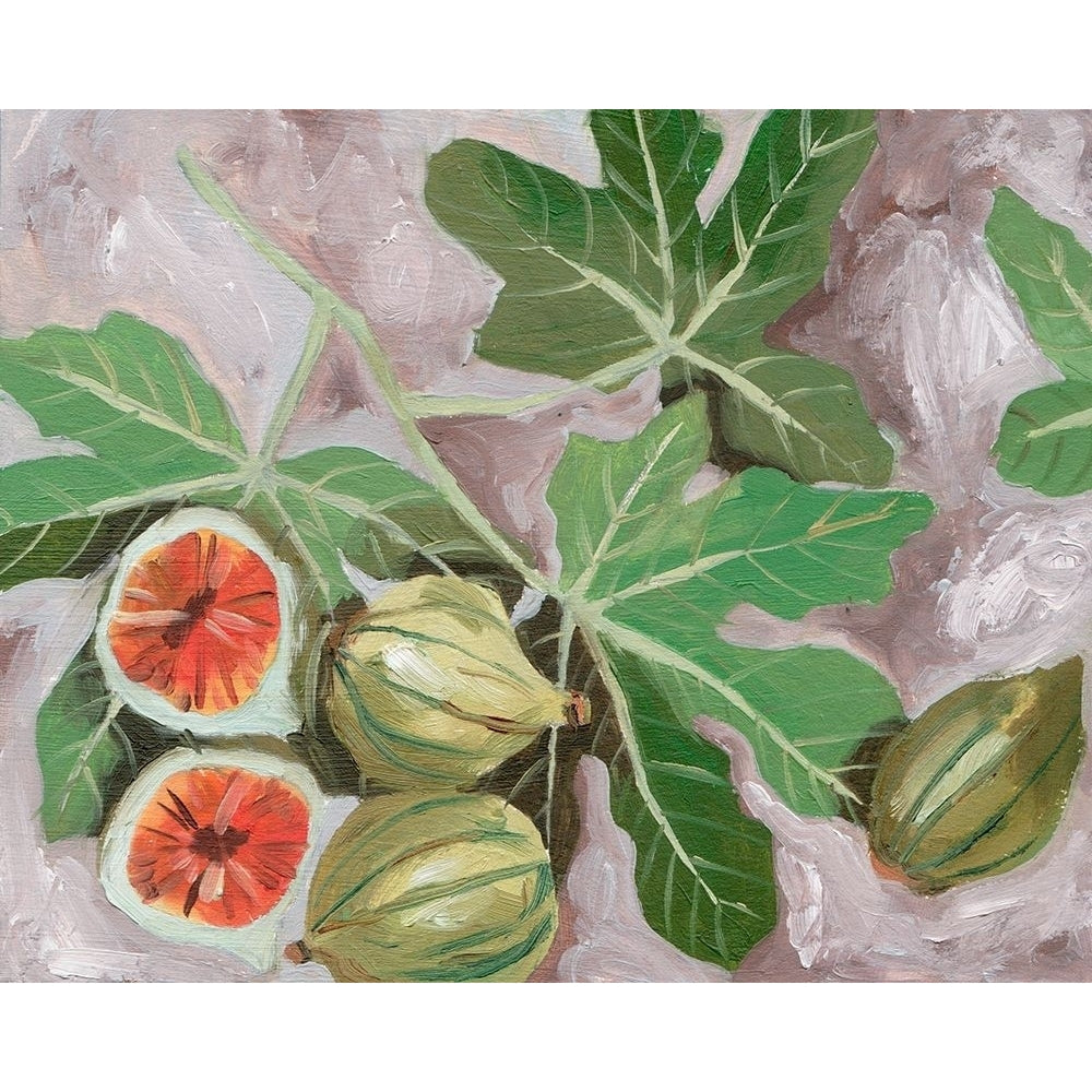 Decorative Fig I Poster Print - Melissa Wang-VARPDX180784Z Image 1