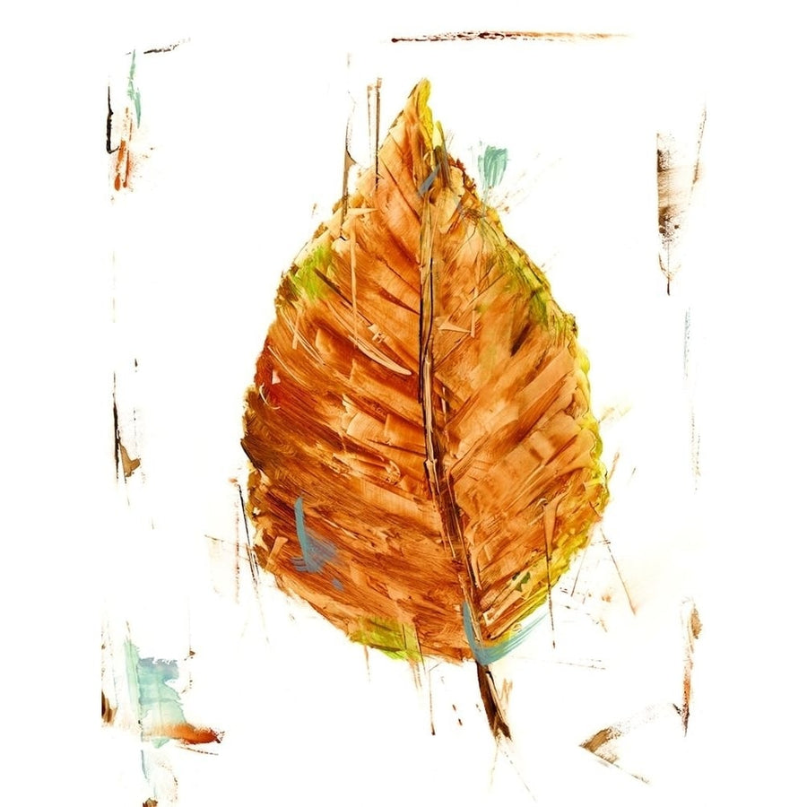 Autumn Leaf Study III Poster Print - Ethan Harper-VARPDX181037FN Image 1